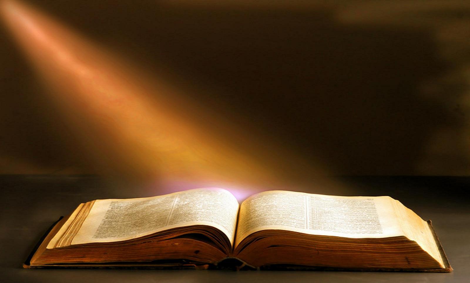 Gospel Reflection